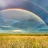 Salesrainbow